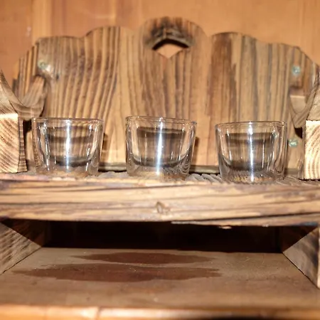Luxury Eco-Chalet Pino Achensee - Hiking, Biking & Ski-In, Ski-Out Domek alpejski