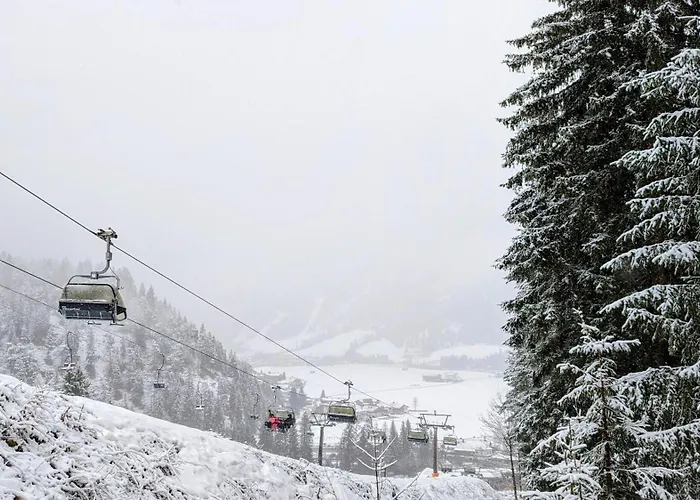 Luxury Eco-chalet Pino Achensee - Hike, Bike, For 6 Or Achenkirch