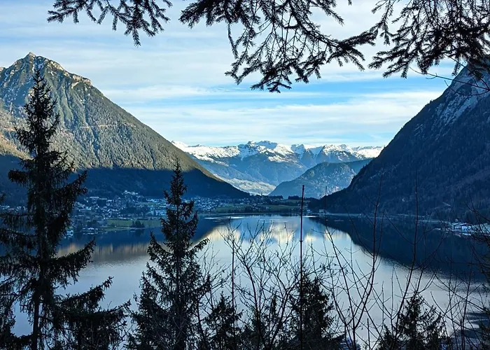 Chalet Luxury Eco-chalet Pino Achensee - Hike, Bike, For 6 Or