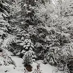 Luxury Eco-chalet Pino Achensee - Hike, Bike, For 6 Or 샬레 *